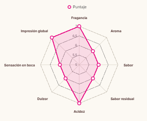 NATURAL LACTICO